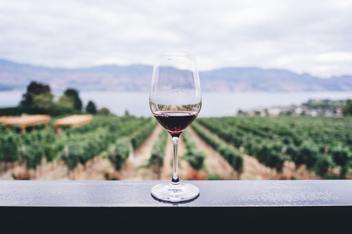 Wine Cocktail